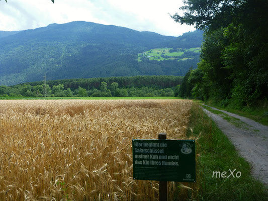 "Salatschüssel"