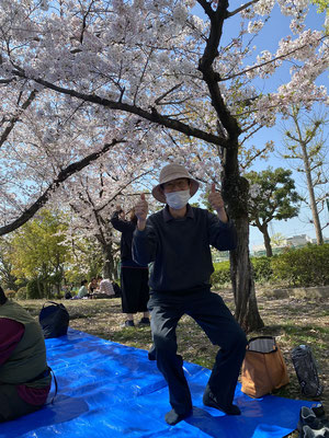 岡山市大元公園　スマイルワーク　お花見