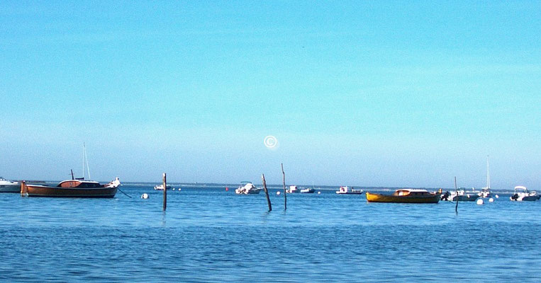 Voirleshuitres Arcachon cap ferret visites 3 Pascaud