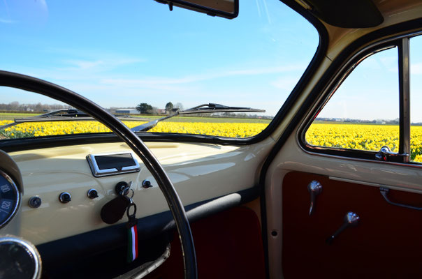 Toeren door de Bollenstreek in in Fiat 500 Oldtimer