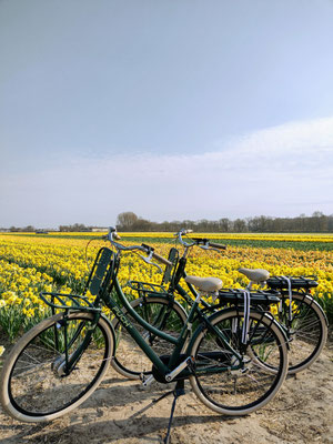 Fiets huren Bollenstreek