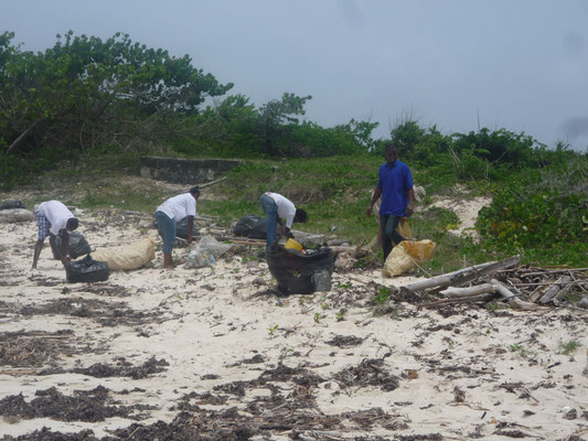 Mammee Bay Beach Clean Up - ONE for Jamaica e.V.