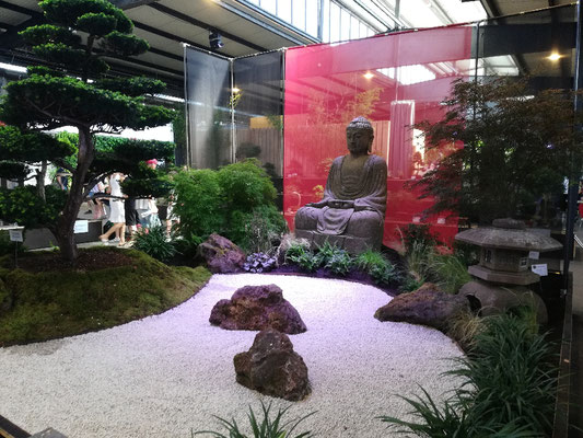 Bonsai Ausstellung im Fruchtschuppen