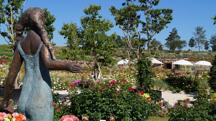 Das Käthchen im duftenden Rosengarten