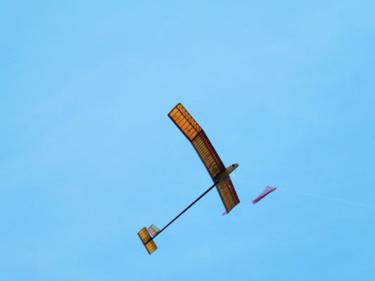 Freiflugmodell "Großer Werner"