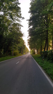 Abendstimmung