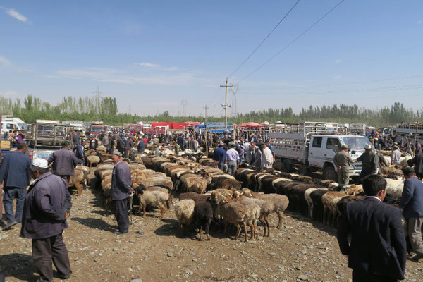 Marche de Kashgar