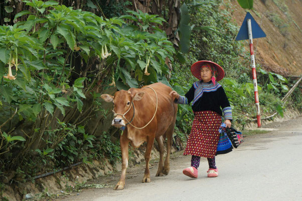 Femme Hmong en route vers le marché de Can Cau