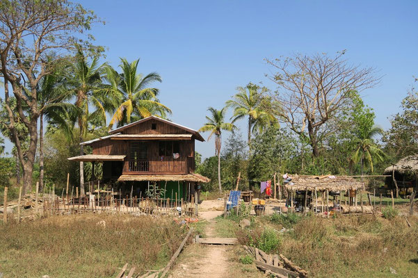 Campagne birmane - toutes les maisons sont en bois/bambous