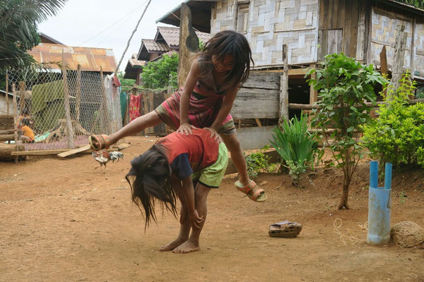 Saute-mouton, Laos