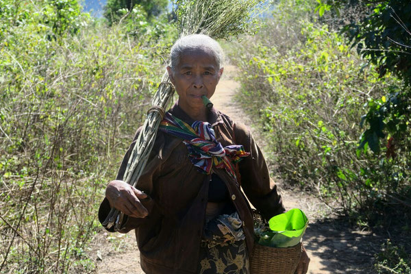 Sur le plateau des Bolovens - Laos