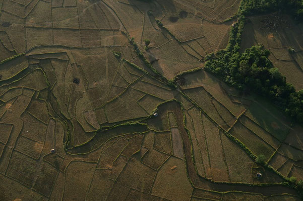 Rizières vues du ciel