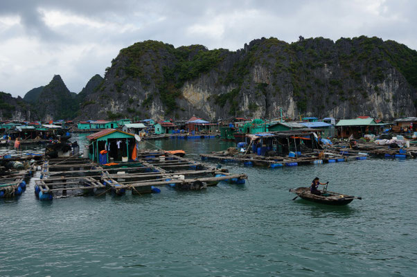 Village de pêcheurs flottant dans la baie de Lan Ha