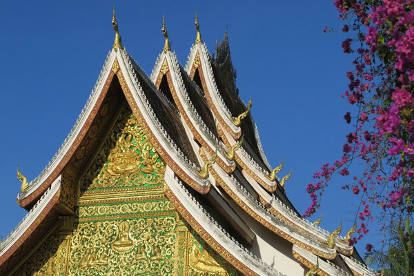 Voici un petit apercu de ce qui nous attend a Luang Prabang