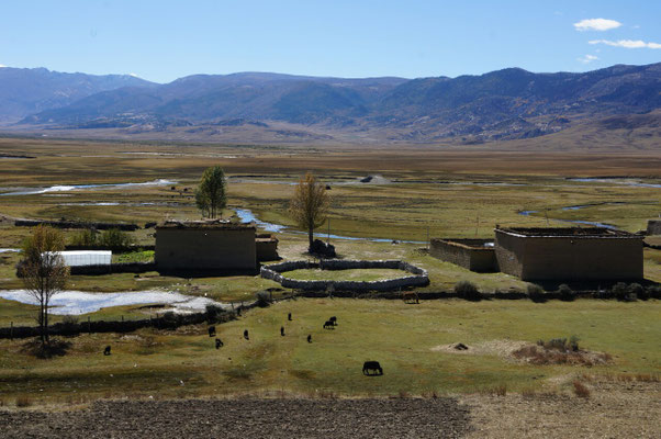 Ferme Tibétaine un peu après Litang