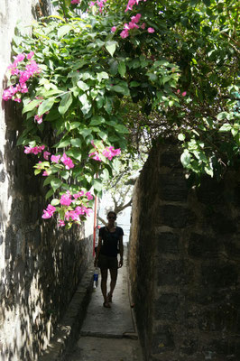 Dans les tranchées de fort canon
