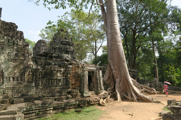Les temples envahis par la végétation