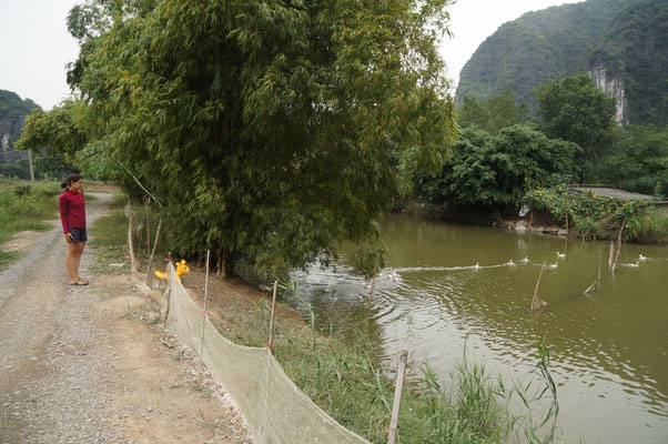 Elicola fait fuir les canards...