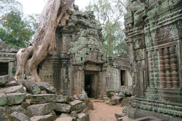 Encore un temple sous les arbres...