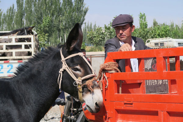 Marche de Kashgar