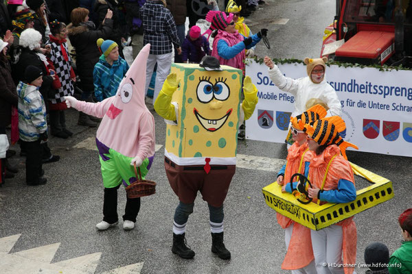 Faschingsumzug Niederndorf / Tirol 2013