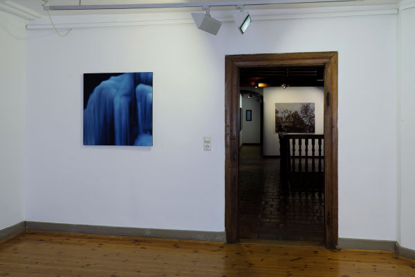 Raum 5. Anne Pincus