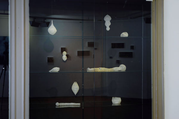 Raum 5. Anne Pincus