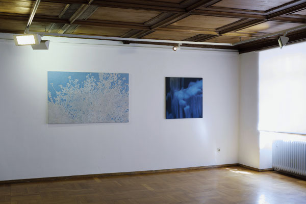 Raum 3. Anna Kiiskinen, Anne Pincus