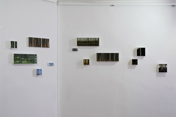 Raum 5. Anne Pincus