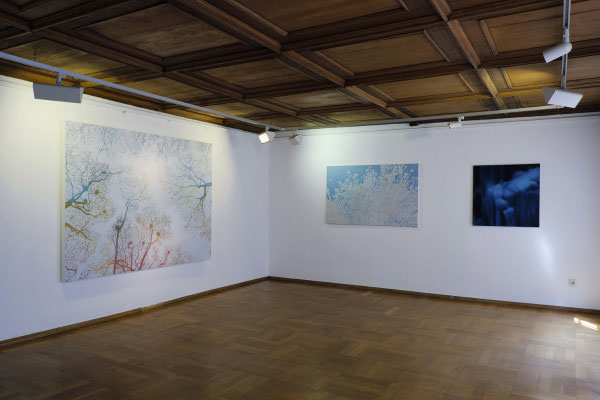 Raum 3. Anna Kiiskinen, Anne Pincus