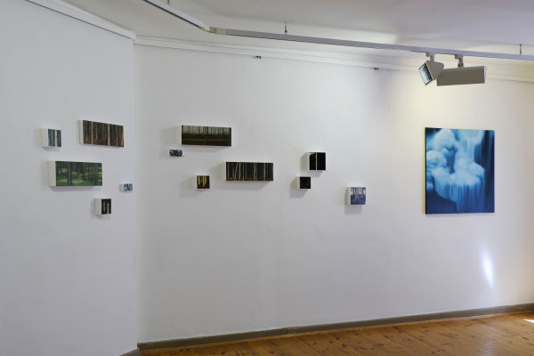 Raum 5. Anne Pincus