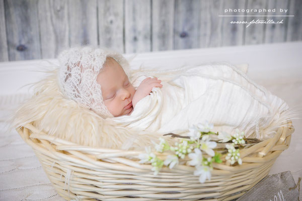 Newborn Baby Foto Shooting Bern