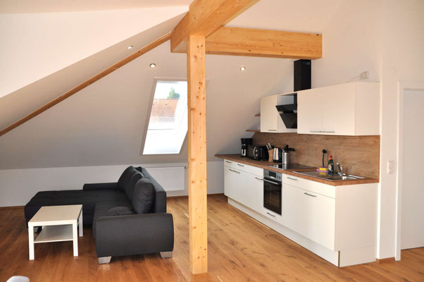 Ferienwohnung Langenargen offene Küche