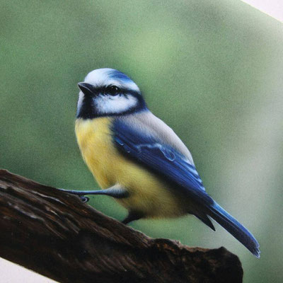 Airbrush 2017 - Auftragsarbeit 