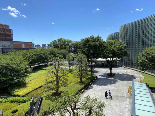 夏　夏空に緑濃い樹々