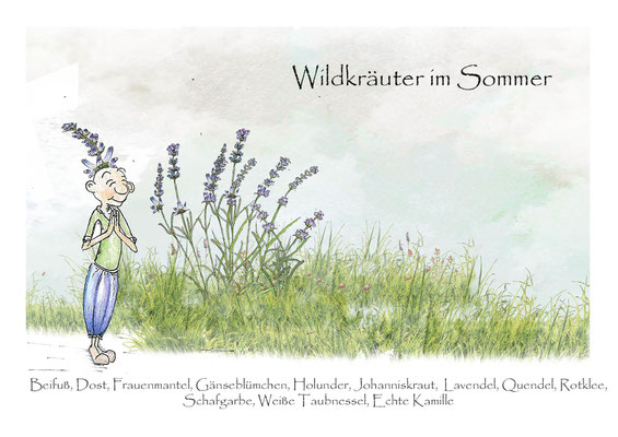 Wildkräuterkarten im Sommer