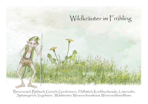 Wildkräuterkarten im Frühling