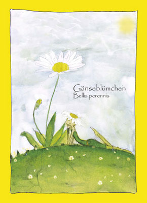 Gänseblümchen Postkarte