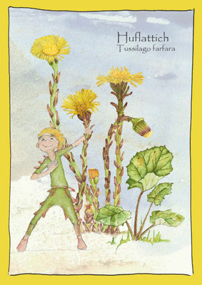 Wildkräuter Naturpädagogik