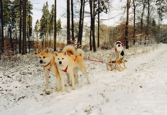 Weihnachten 1996