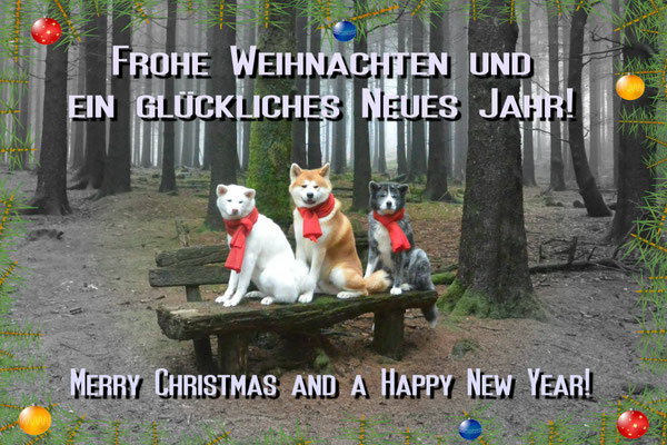 Weihnachten 2015