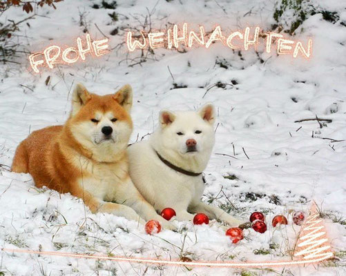 Weihnachten 2017