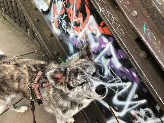 Kunst auf der Deutschherrnbrücke