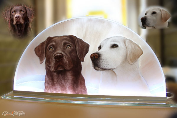 Hunde Portrait Glasmalerei 