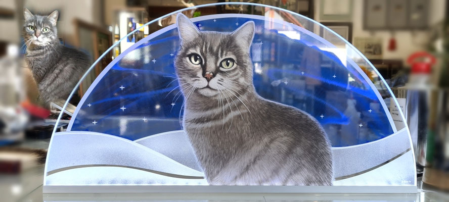 Katzen Portrait Glasmalerei