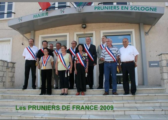 Pruniers en Sologne 2009