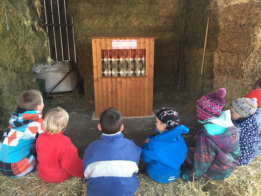 Kindergeburtstag auf dem Bauernhof feiern