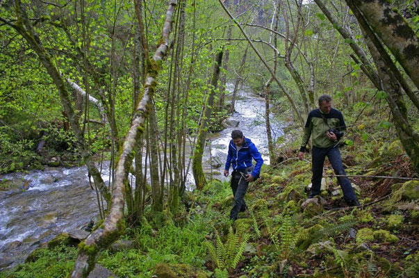 Wouter and me looking for Golden-striped Salamanders © Jeroen Speybroeck