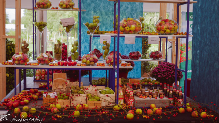 Obstgut Triebe Schöngleina/Obstbau Lorenz Schmölln/Absatzgenossenschaft "Fahner Obst" e.G. Gierstädt