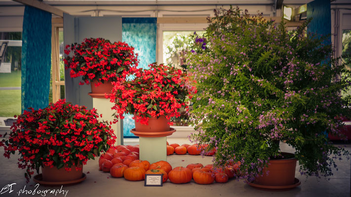 Erfurter Garten-und Ausstellungs gemeinnützige GmbH